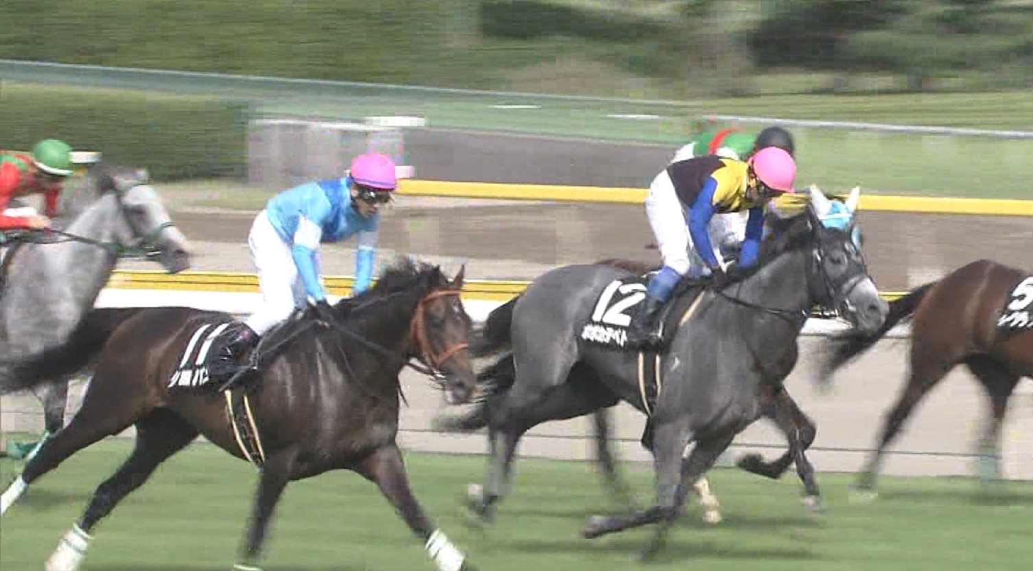【競馬】戸崎圭太さん新潟乞食専念した結果ショパンとゼウスバローズで取りこぼす