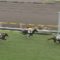 【競馬/2歳新馬】タニノフランケル、タートルボウル産駒に完敗ｗｗｗｗｗｗ