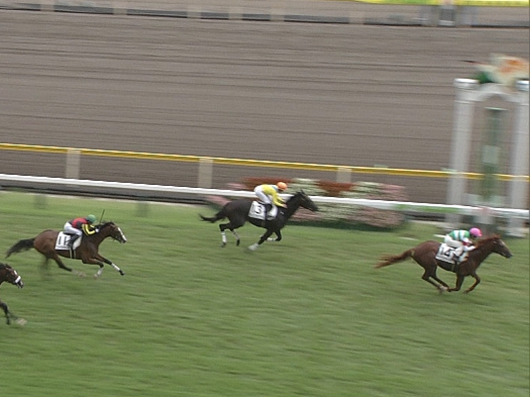 【競馬/2歳新馬】タニノフランケル、タートルボウル産駒に完敗ｗｗｗｗｗｗ