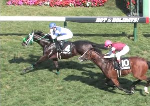 【競馬】タワーオブロンドン圧勝でダブルシャープ強すぎワロタｗｗｗｗｗｗｗｗｗｗｗｗｗ