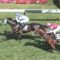 【競馬】タワーオブロンドン圧勝でダブルシャープ強すぎワロタｗｗｗｗｗｗｗｗｗｗｗｗｗ