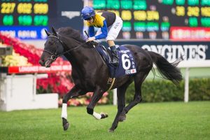 【競馬】フィエロが種牡馬入り