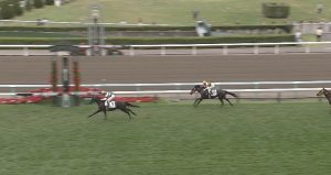【競馬/札幌2歳S】未勝利馬マツカゼ二回に分けて大口投票あり 【競馬/札幌2歳S】未勝利馬マツカゼ二回に分けて大口投票あり