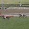 【競馬/札幌2歳S】未勝利馬マツカゼ二回に分けて大口投票あり