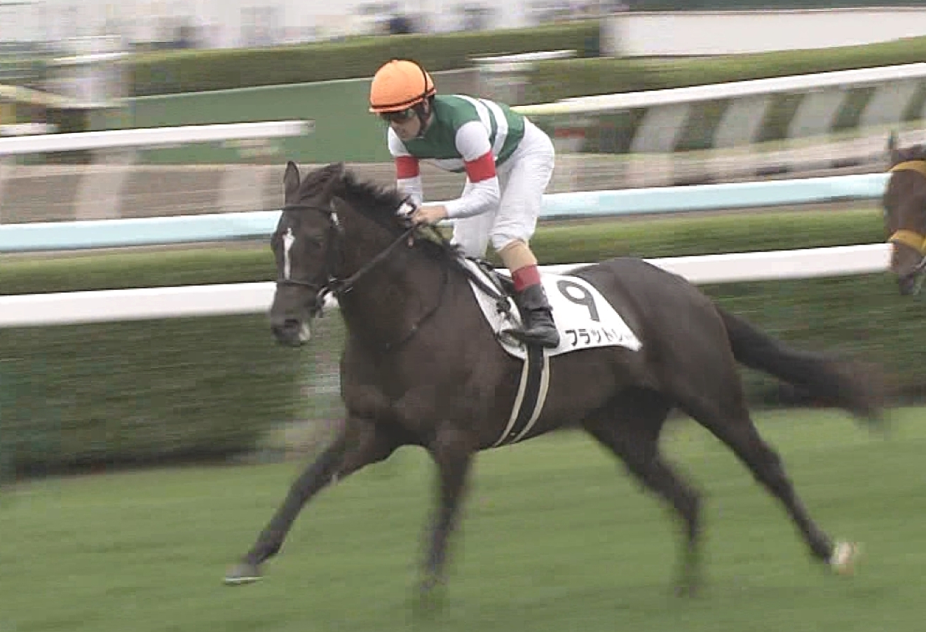 【競馬】ルメールの異常な馬質にムカつく件