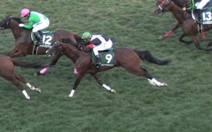【競馬】最終12Rの戸崎の騎乗、酷すぎる