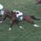 【競馬/キーンランドC】戸崎さんモンドキャンノを強奪するも華麗に飛ばす