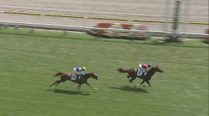【競馬/アルテミスS】ラッキーライラック快勝!オルフェーヴル産駒、2歳重賞2勝目 wwww wwww wwww 【競馬/アルテミスS】ラッキーライラック快勝!オルフェーヴル産駒、2歳重賞2勝目 wwww wwww wwww