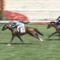 【競馬/2歳新馬】ルーカス強すぎワロタ