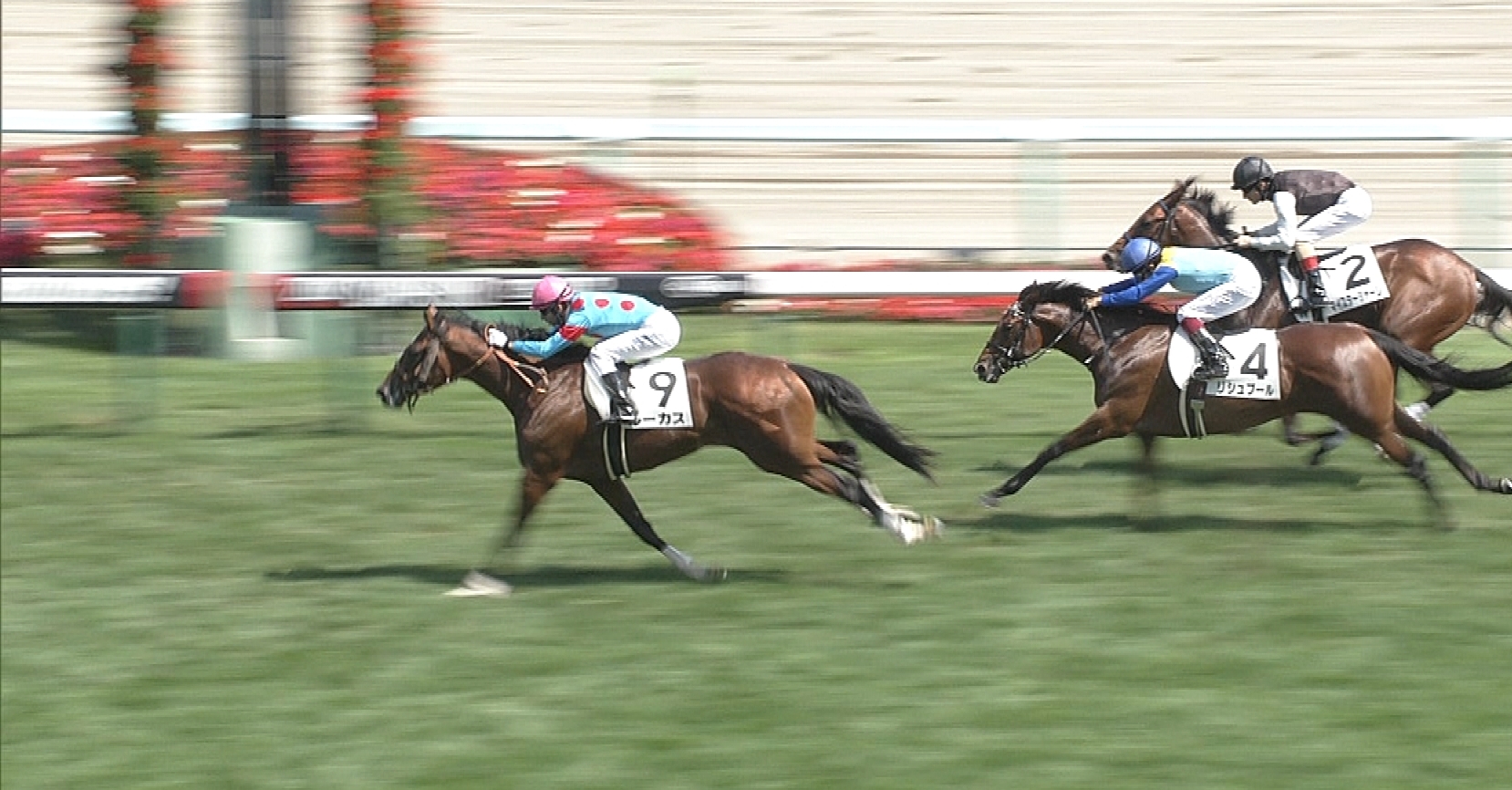 【競馬】最新2歳牡馬＆牝馬番付【ルーカス・ワグネリアン・ダノンプレミアム】