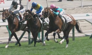【競馬】モレイラが来たらさらに「つまらない日本競馬」になるんだが