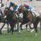 【競馬】天帝ルーカス登場！！モーリスになってるだろうね