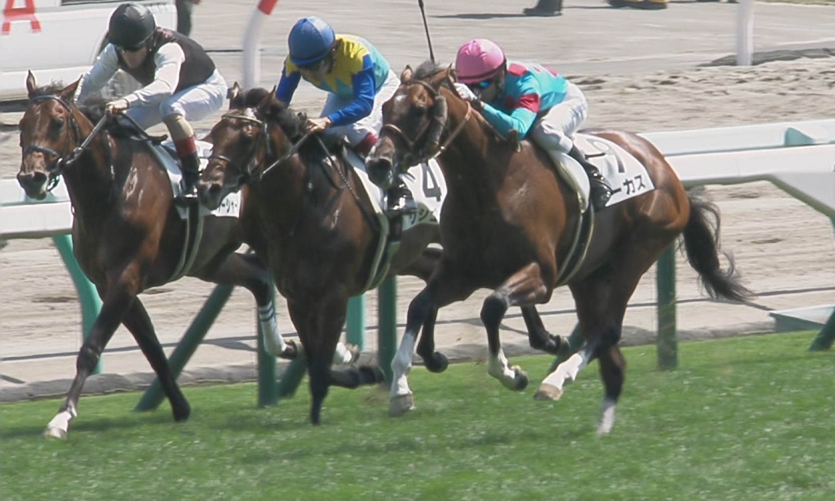 【競馬】グッバイ香港「マジックマン」モレイラ 日本へＧＯ!!