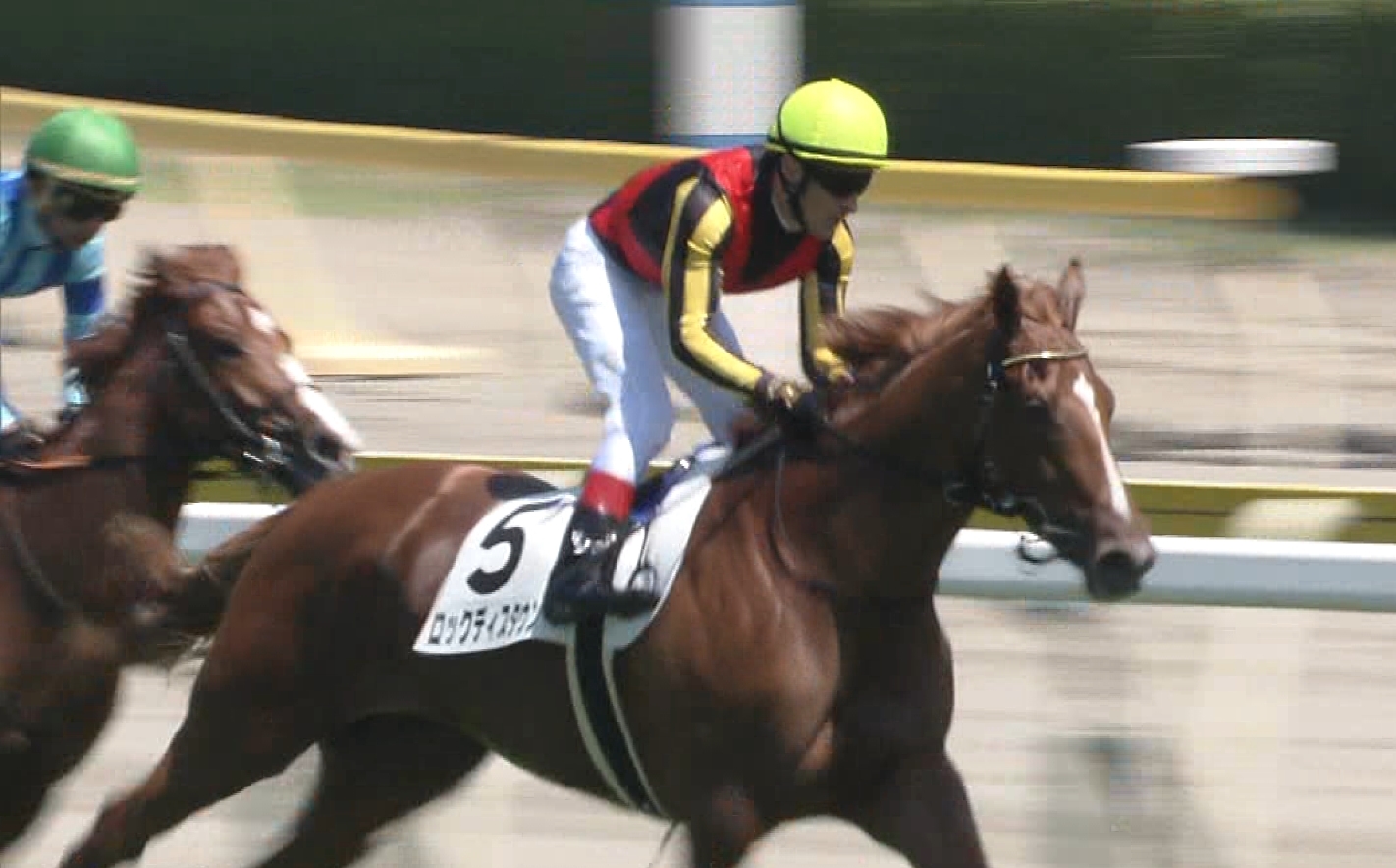 【競馬】リーディング争い戸崎145勝、ルメール142勝！今日でルメールが逆転しそうだなｗｗｗ