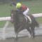 【競馬】三浦って武のこと馬鹿にしてたけどいつG1勝てるの？