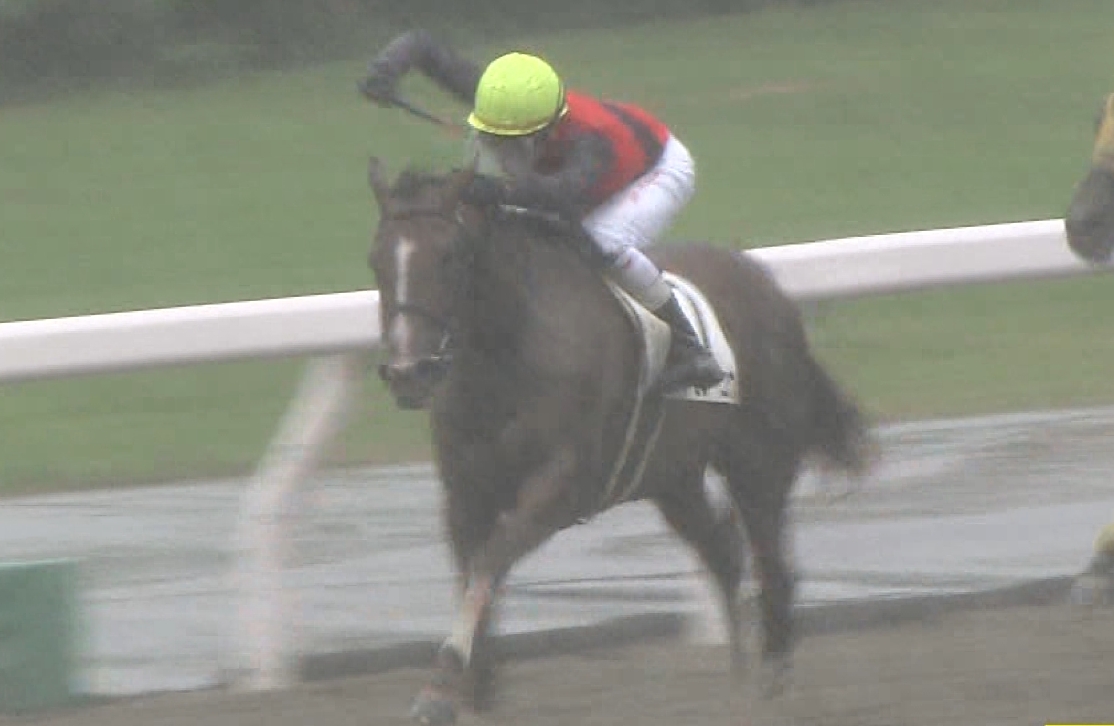 【競馬】三浦皇成、馬に蹴られて乗り替わりwww