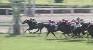 【競馬/北九州記念】ミルコが激怒！「前の馬がフラフラして不利を受けた！勿体無い競馬だったよ！」