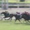 【競馬/北九州記念】ミルコが激怒！「前の馬がフラフラして不利を受けた！勿体無い競馬だったよ！」
