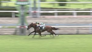 【競馬】戸崎圭太さん、二度と小倉に遠征しないことを決意