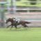 【競馬/小倉記念】アンカツ「サンマルティンは重賞勝てる器」