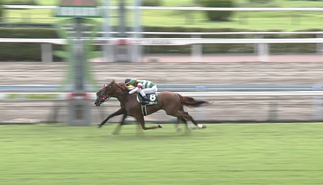 【競馬】戸崎圭太さん、二度と小倉に遠征しないことを決意