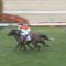 【競馬】福永祐一さん、草競馬からやってきたビッグマウスに格の違いを見せつける
