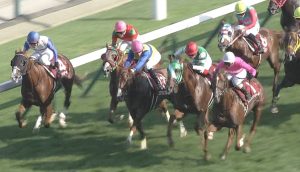 【競馬】エアスピネルって正直厳しくない? 【競馬】エアスピネルって正直厳しくない?