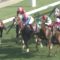 【競馬/札幌記念】5着エアスピネル騎乗ルメール騎手「上手く乗ったのに伸びなかった。距離が長いよ。」