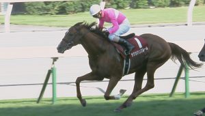 【競馬】札幌記念をＧＩに　武豊＆池江調教師も熱望　ＪＲＡ「春や秋の層が薄くなってしまっては本末転倒」（東スポ）