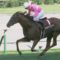 【競馬/札幌記念】サクラアンプルールの馬上でエビダンス炸裂ｗｗｗｗｗｗｗｗ