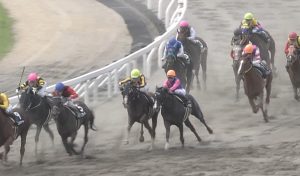 【競馬】武豊の成績がマジでゴミなんだが・・・。 【競馬】武豊の成績がマジでゴミなんだが・・・。