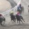 【競馬】武豊の成績がマジでゴミなんだが・・・。