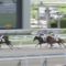 【競馬】浜中騎手 油断騎乗で2日間の騎乗停止