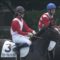 【競馬/フェブラリーS】見事に勝利した菜七子はどんなガッツポーズするんだろうな