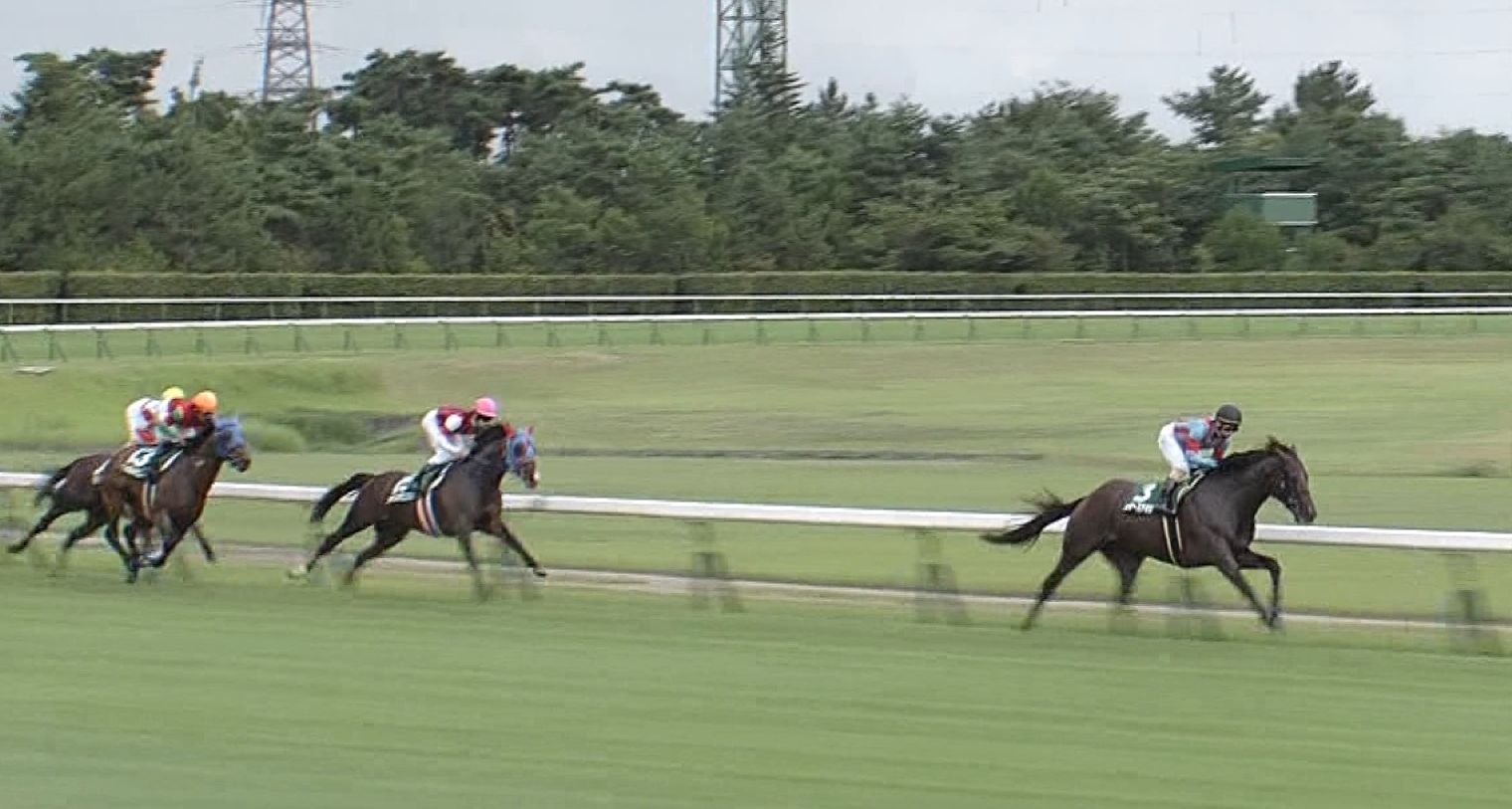 【競馬/中山記念】マルターズアポジーの複勝買うやつwww