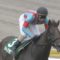 【競馬】ゴスホークケン(12)、総産駒数16頭←これ