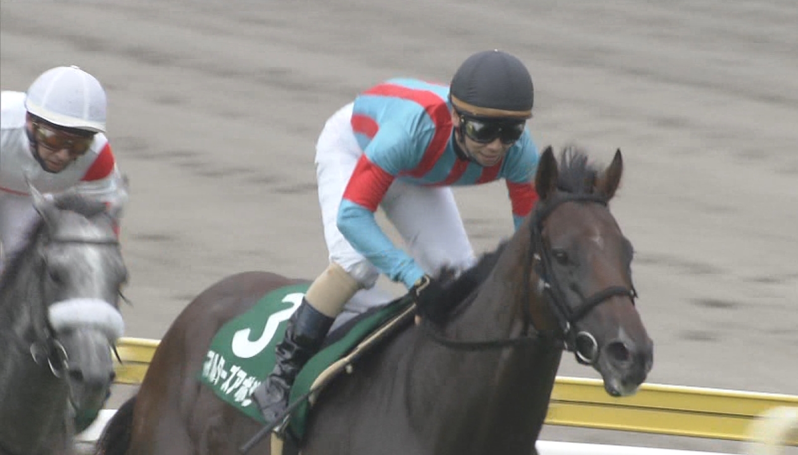 【競馬】武士沢友治、代表馬マルターズアポジー、トウショウナイト