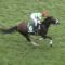 【競馬/関屋記念】ブラックムーン、ロードクエスト、メートルダール買ったやつｗｗｗｗｗｗｗ