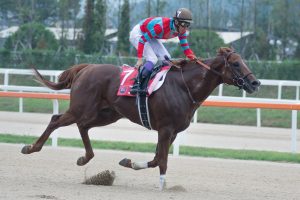 【競馬】韓国初騎乗の武豊「カムサハムニダ」　グレイスフルリープでコリアスプリントＶ