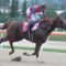 【競馬】韓国初騎乗の武豊「カムサハムニダ」　グレイスフルリープでコリアスプリントＶ