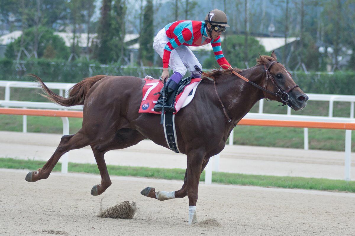 【競馬】韓国初騎乗の武豊「カムサハムニダ」　グレイスフルリープでコリアスプリントＶ