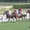 【競馬/2歳新馬】スターリーステージ微妙すぎワロタwwwww