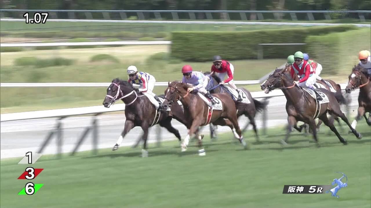 【競馬/2歳新馬】スターリーステージ微妙すぎワロタwwwww