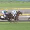 【競馬】2010ダービーペルーサ二番人気←これ