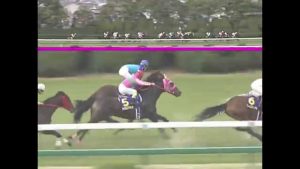 【競馬】元桜花賞馬キストゥヘヴン繁殖馬セール行き 【競馬】元桜花賞馬キストゥヘヴン繁殖馬セール行き