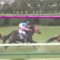 【競馬】元桜花賞馬キストゥヘヴン繁殖馬セール行き