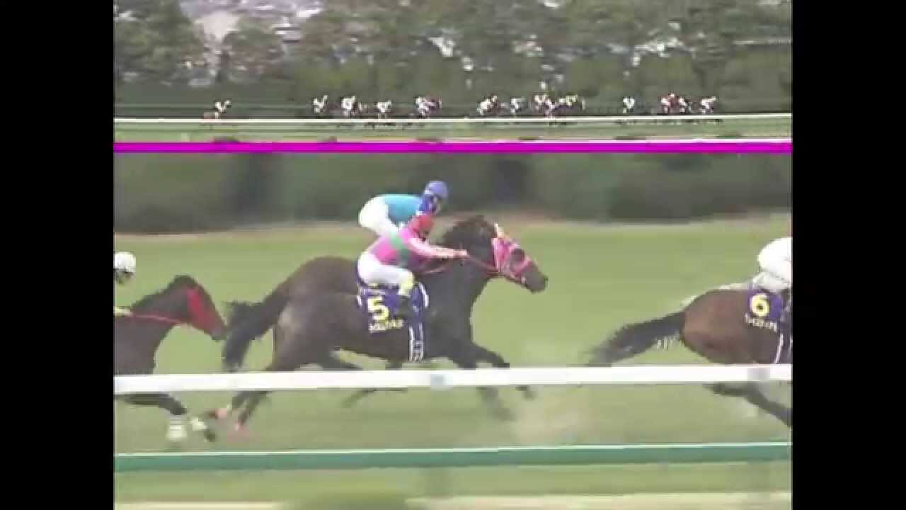 【競馬】元桜花賞馬キストゥヘヴン繁殖馬セール行き
