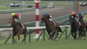 【競馬/オールカマー】フジテレビの放送事故レベルのクソテレビワークｗｗｗｗｗｗｗｗｗｗｗｗｗ