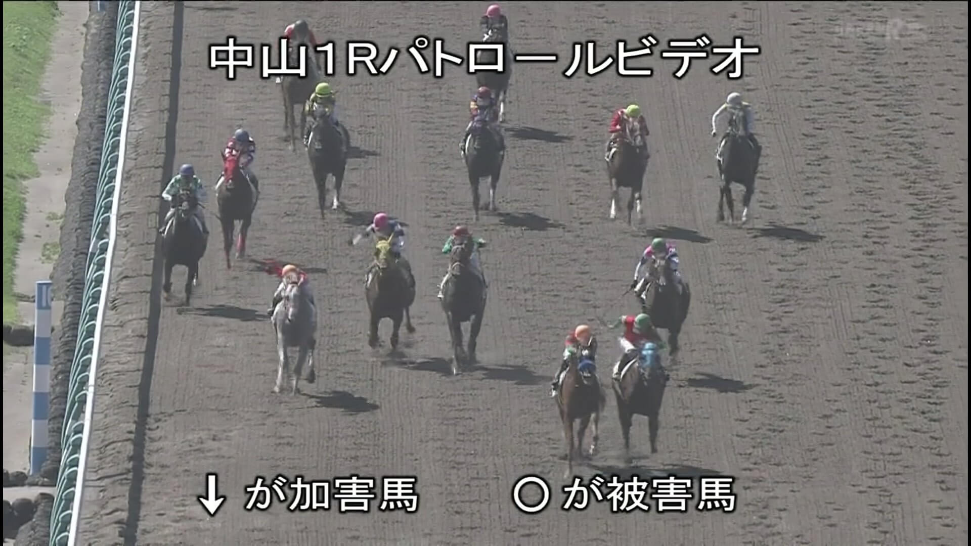 【競馬】今日の中山1R珍しく審議で順位変更ありそうだな