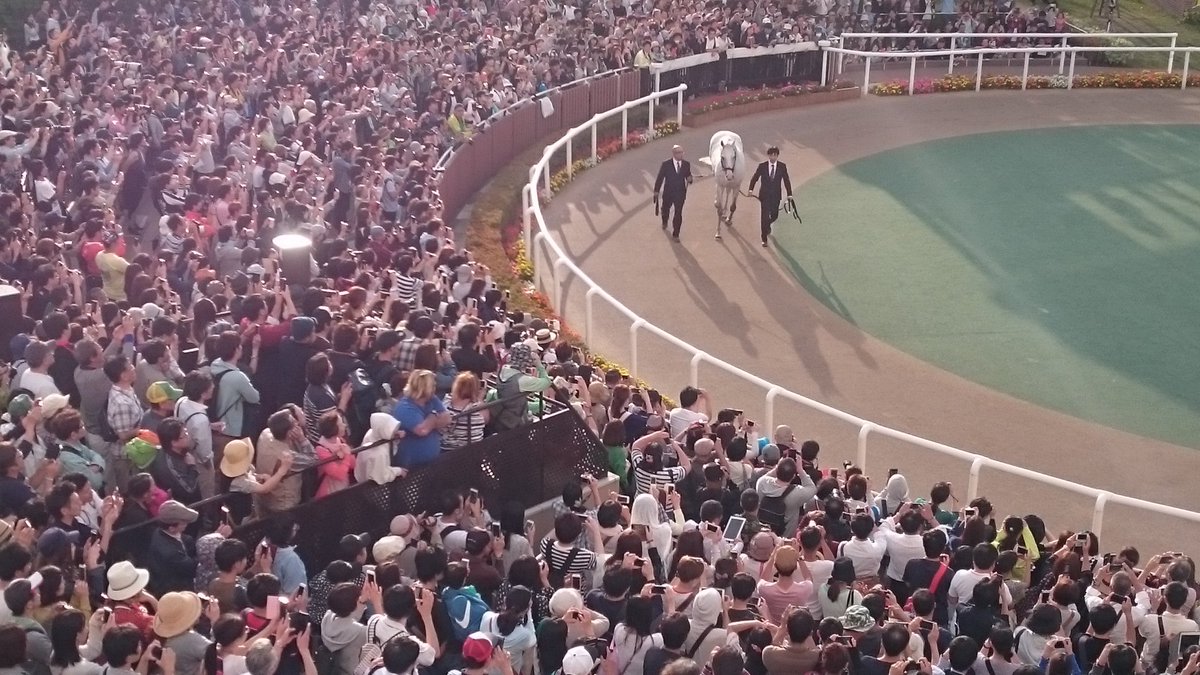 【競馬】須貝調教師と再会したときのゴールドシップの表情ワロタｗｗｗｗｗｗｗｗｗ